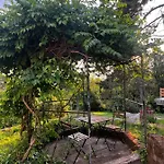 Active Chillax Oasis