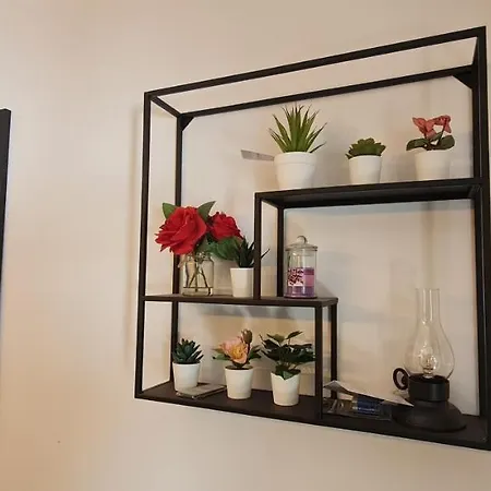 Active Chillax Oasis * Ankaran