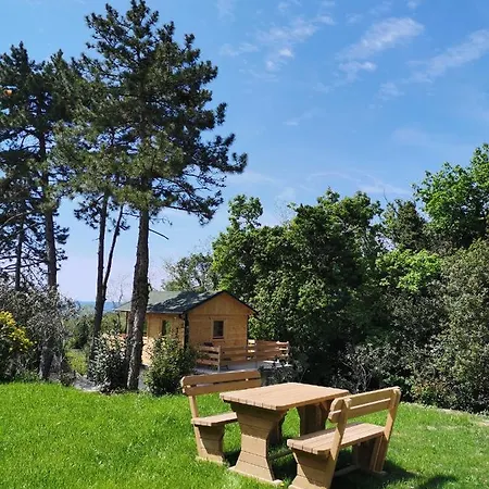 Apartma Active Chillax Oasis *