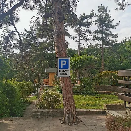 Active Chillax Oasis * Ankaran