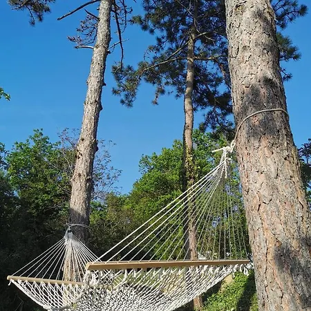 Active Chillax Oasis