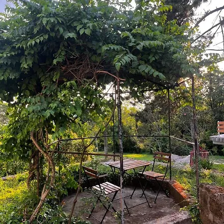 Active Chillax Oasis