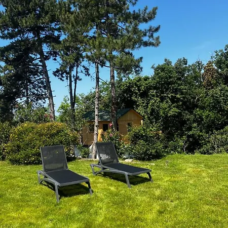 Apartma Active Chillax Oasis *