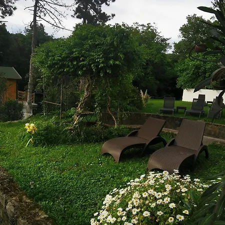 Active Chillax Oasis Apartman Ankaran