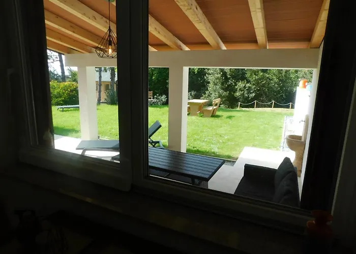 Active Chillax Oasis