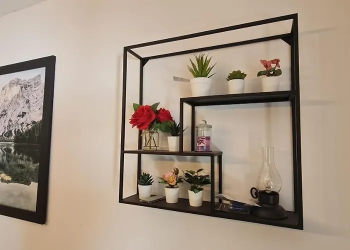 Active Chillax Oasis * アンカラン