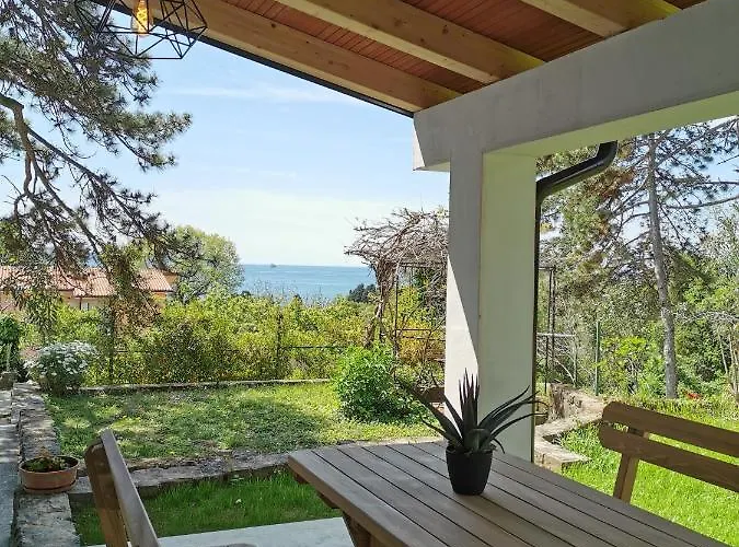 Active Chillax Oasis