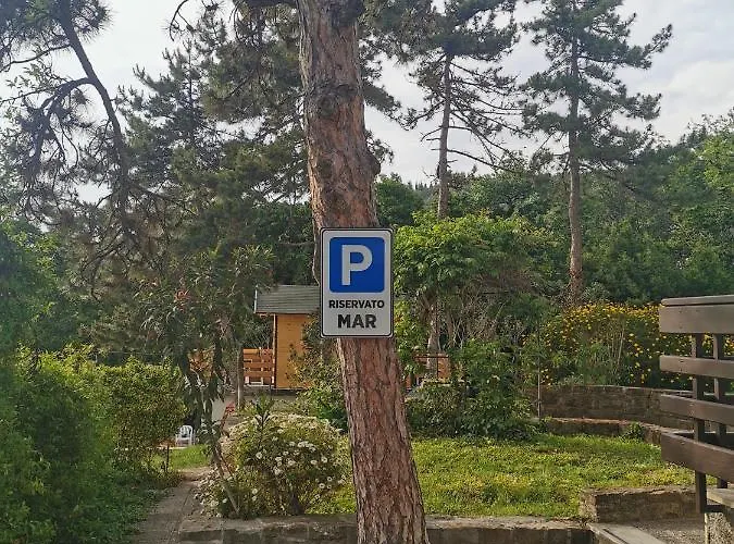 Active Chillax Oasis * أنكاران