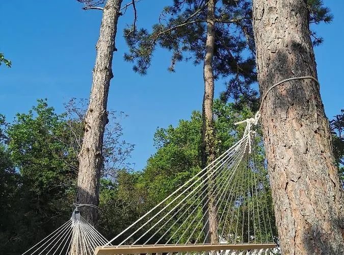 Active Chillax Oasis