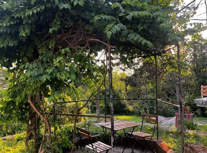 Active Chillax Oasis