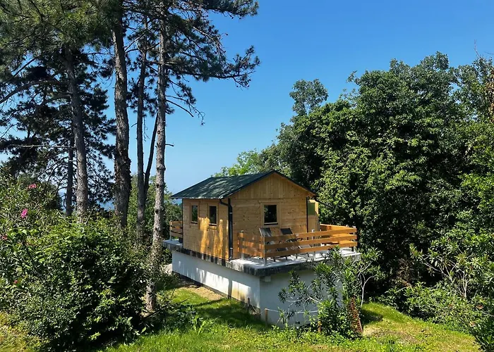 Active Chillax Oasis