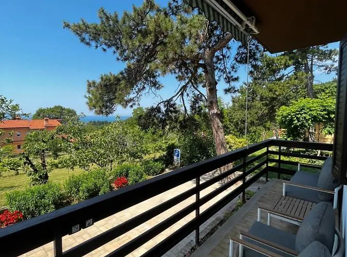 Active Chillax Oasis أنكاران