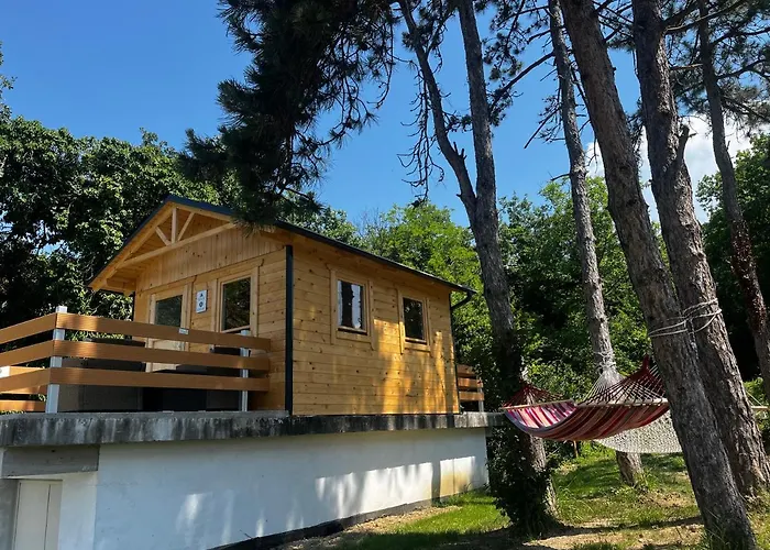 Active Chillax Oasis *